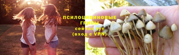 герыч Аркадак