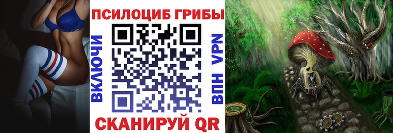 Псилоцибиновые грибы мицелий  магазин продажи наркотиков  Архангельск 
